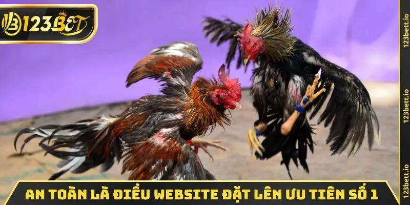 An toàn là điều website đặt lên ưu tiên số 1