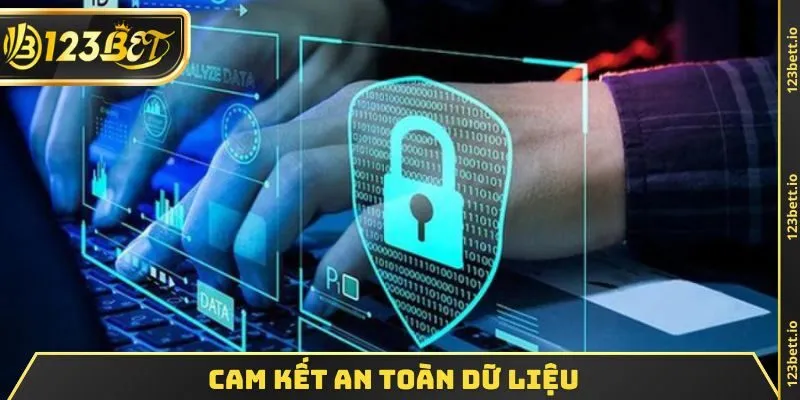 Cam kết an toàn dữ liệu