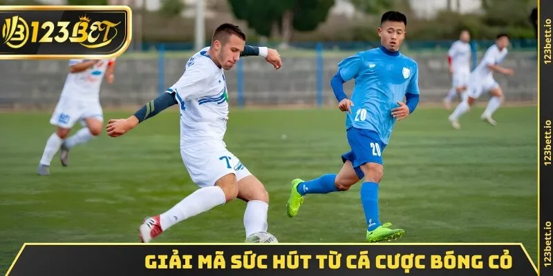 Giải mã sức hút từ cá cược bóng cỏ