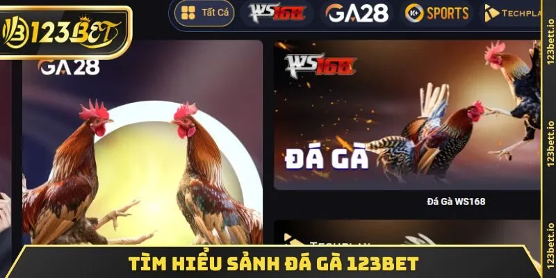Tìm hiểu sảnh ĐÁ GÀ 123BET